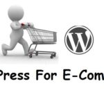 Benefits of Choosing WordPress for Ecommerce Websites