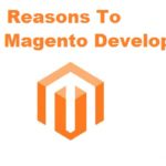 Know the Reasons To Hire Magento Developer