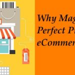 Why Magento is a Perfect Pick for eCommerce Business