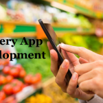 Hire Grocery App Developer To Deliver Convenient Grocery Shopping Experience