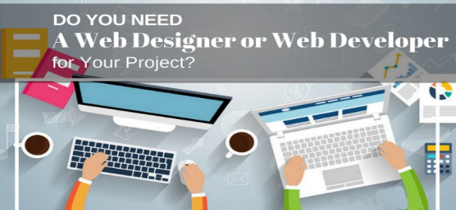 Type of web developer do you need to hire