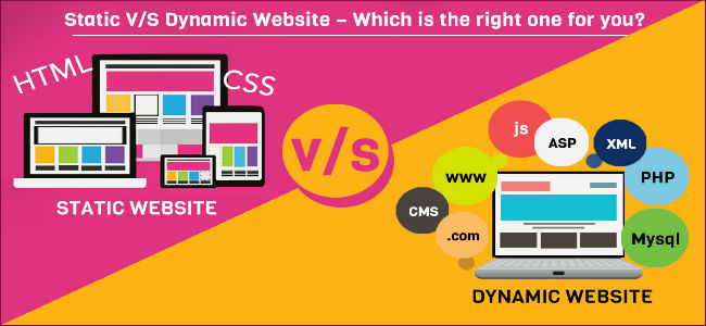 Static Versus Dynamic Website