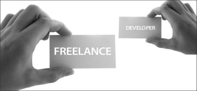 Hire a full-time web developer or a freelancer