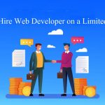 Tips To Find A Web Developer For Your Startup With Limited Budget